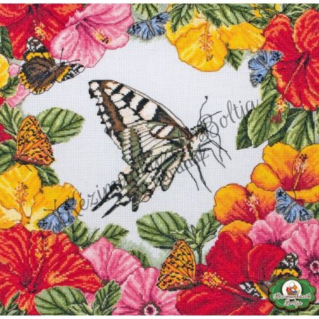 Anchor MAIA keresztszemes készlet - Spring Butterflies