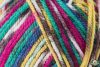 Bravo Color - Farmer jacquard