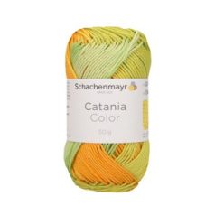 Catania Color - Cactus color